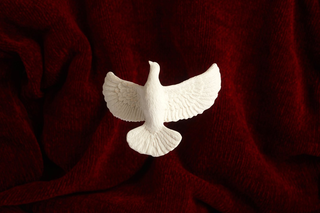 Pentecost Sunday. Pentecost Background with Flying Dove